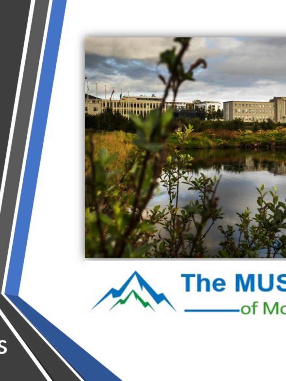 MotivationStrategiesForMedical